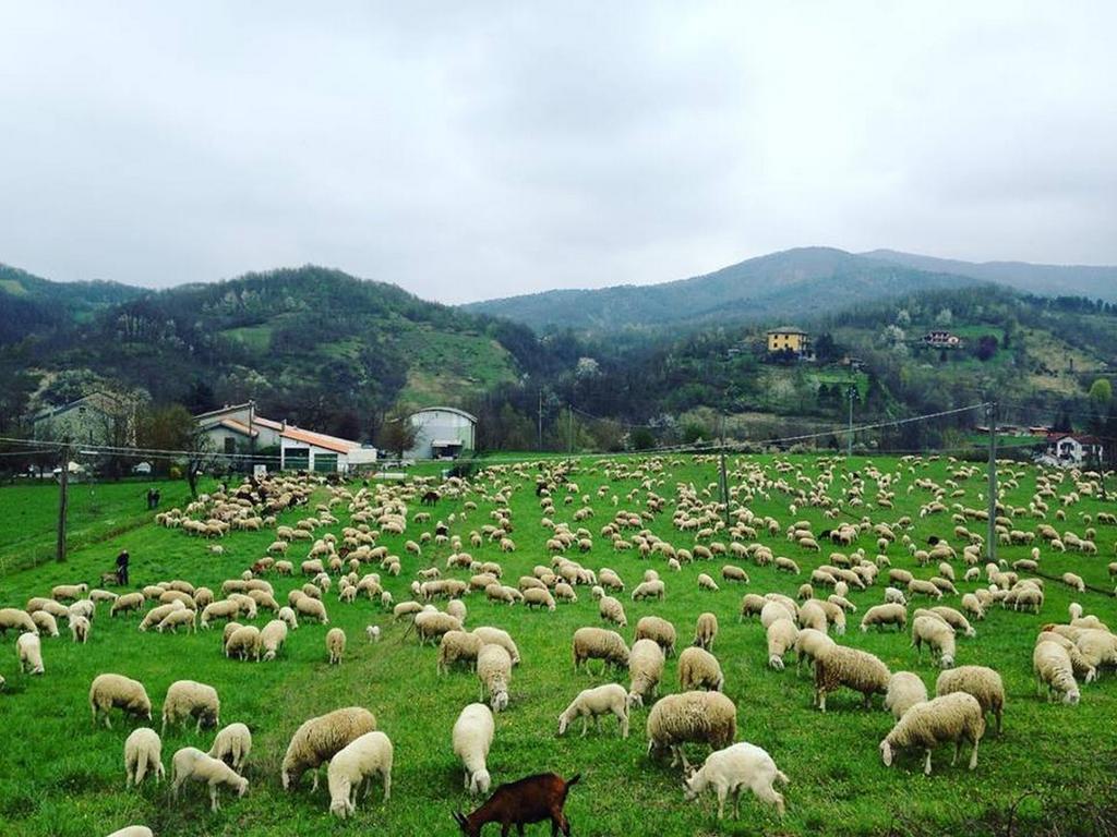 B&B Cascina Santa กาวี ภายนอก รูปภาพ