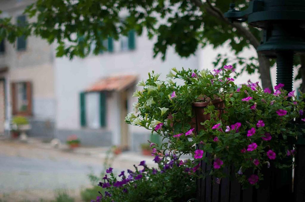 B&B Cascina Santa กาวี ภายนอก รูปภาพ